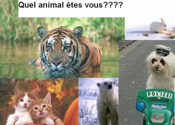 ????